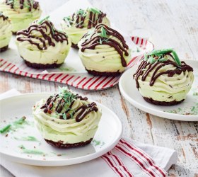 Choc-Mint Ice-Cream Cakes