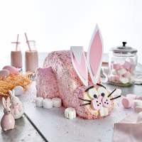 How to make an Easter Bunny Cake