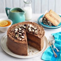 Malted Milk Cake with Malted Frosting