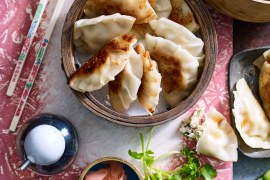 Chicken Gyozas