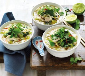 Hot and Sour Bok Choy, Chicken and Noodle Soup