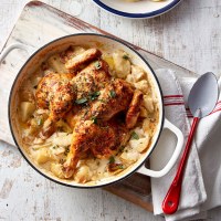 Chicken recipes