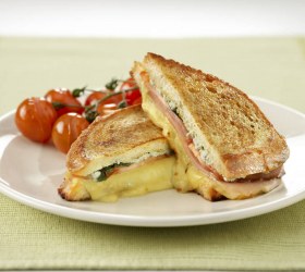 Mozzarella Italian Toasty