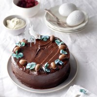 Chocolate Easter Mudcake