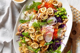 Peanut Noodle Salad with Omelette