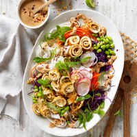 Peanut Noodle Salad with Omelette