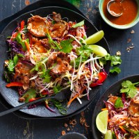 Satay Pork Vermicelli Rice Noodle Salad