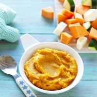 Sweet Potato and Roast Vegetable Puree