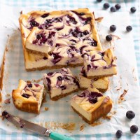 Blueberry Swirl Cheesecake