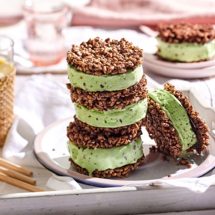 Choc-Mint Crackle Ice-Cream Sandwiches