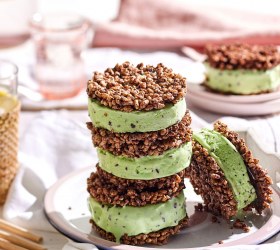 Choc-Mint Crackle Ice-Cream Sandwiches