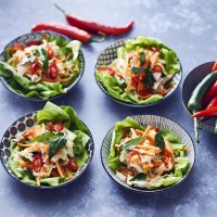 Asian Poached Chicken Slaw in Lettuce Cups